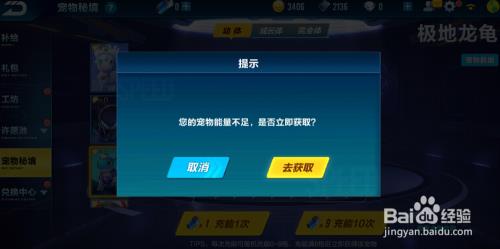 宠物秘境最后一格要多少能源