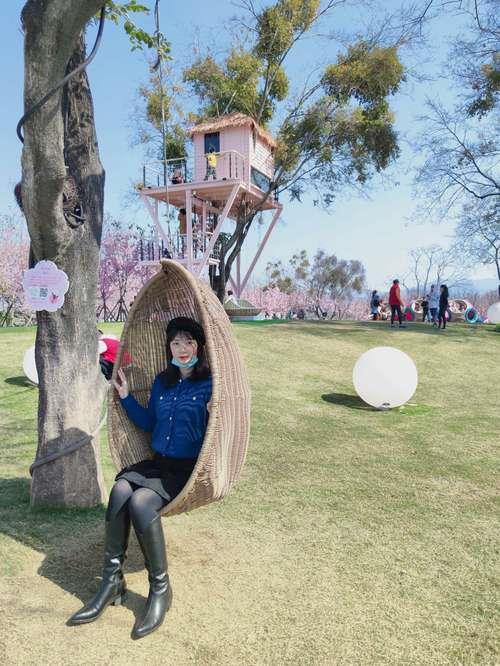 石龙鲤鱼洲岛门票