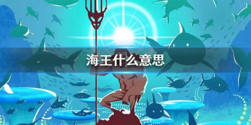 海篓子是什么意思