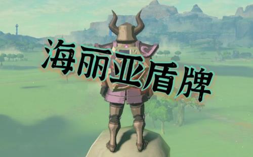 塞尔达海利亚盾最高数值