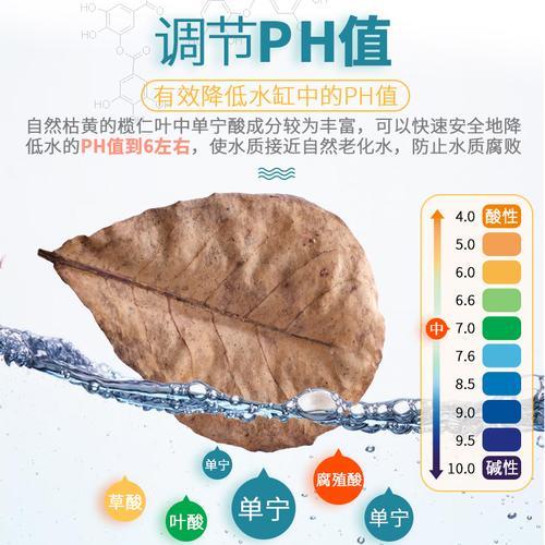 降ph最好办法