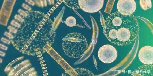 水体中微生物有几方面的来源