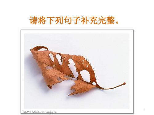 凝视着什么补充句子