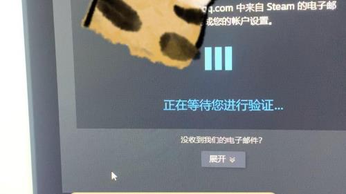steam注册对captcha响应无效