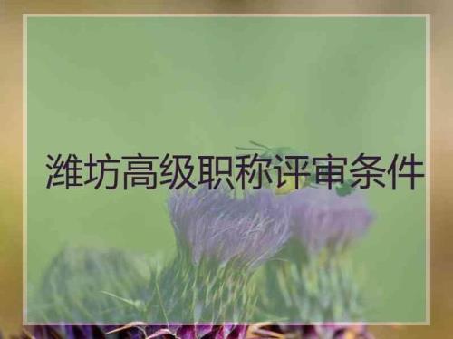 2021河南教师副高职称评定条件