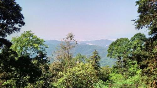 帽峰山门票多少钱一张呢