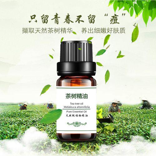 请问茶油和茶树精油有什么区别