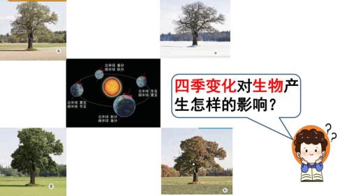 植物昼夜交替是什么现象