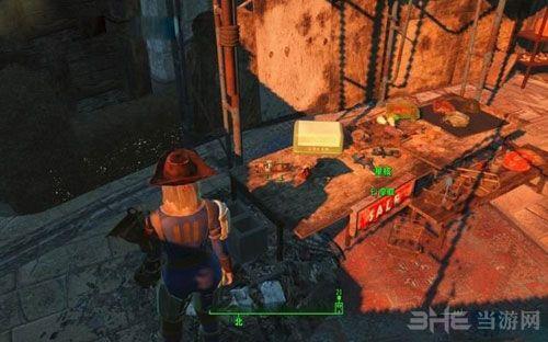 辐射4核子世界西托好感度