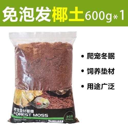 椰砖可以种荔枝吗