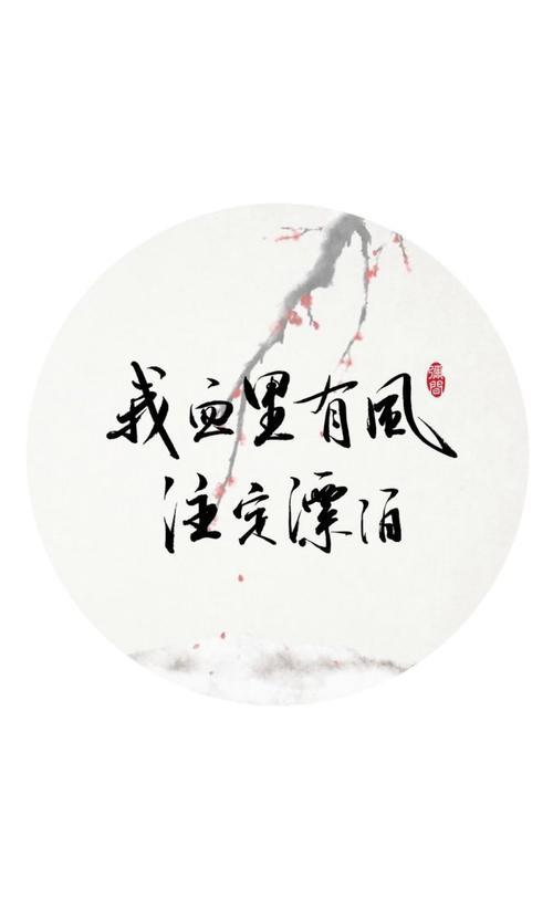 亦无风雨也无晴全诗意思