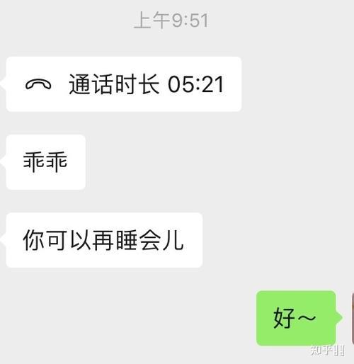 乖娃子什么意思