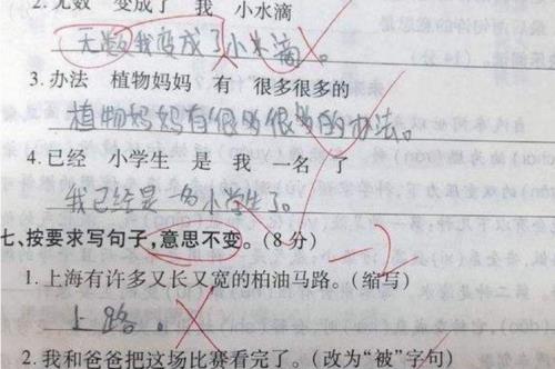 你是什么我是什么造句