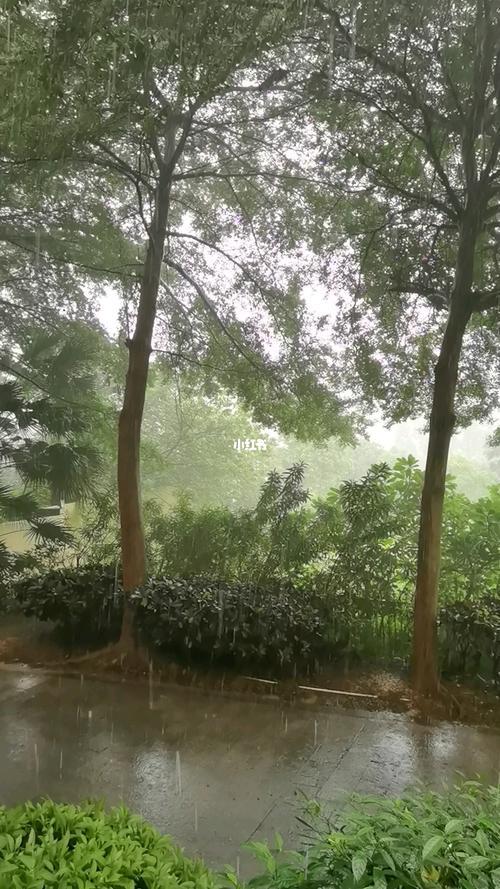 下雨天气对人们有什么影响