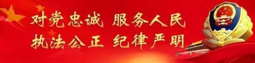 包含执法的成语有哪些