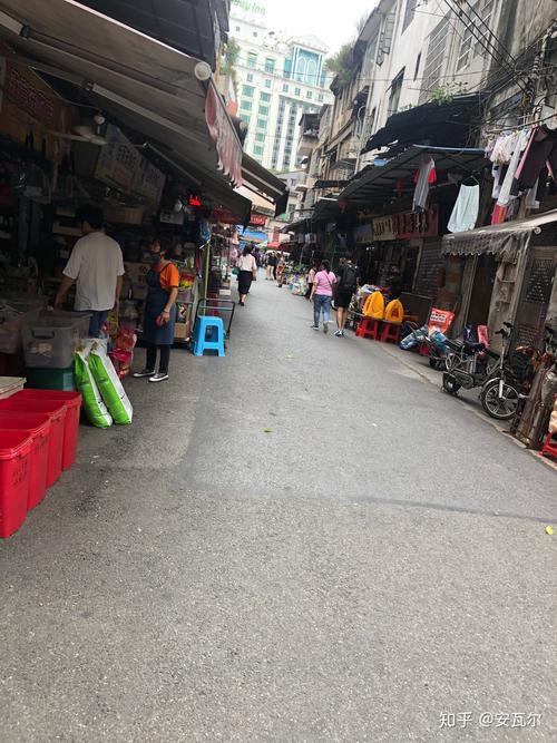 广州哪里有宠物市场