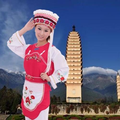 大理民族人口排行榜