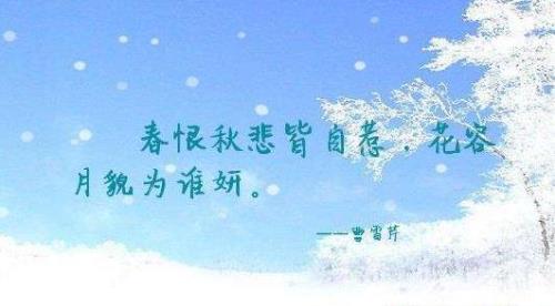 不敢招惹你是什么意思
