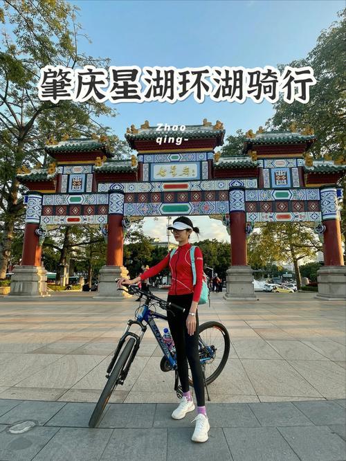 肇庆那里有自行车买