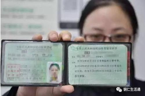 厂区内机动车辆驾驶证最新规定