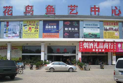 西安市场的鱼来源于哪里