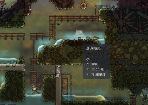 缺氧里植物会产生氧气吗
