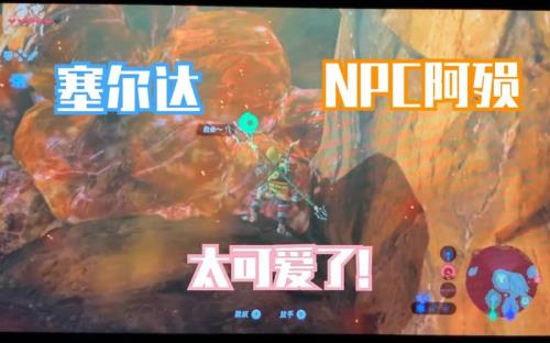 塞尔达扩容npc位置
