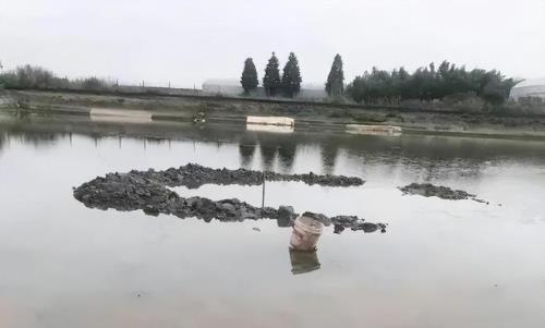 池塘底部的小圆坑是怎么回事