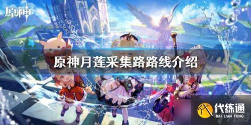原神须弥月莲几天刷新一次