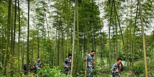 担任护林员15年有退休金吗