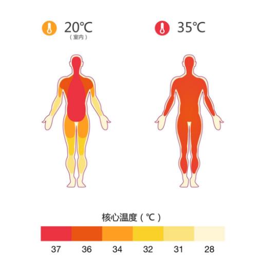 体温恒定和不恒定的区别