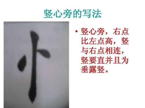 竖心旁一个舌读什么字啊