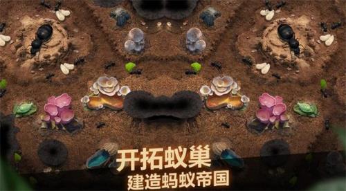 小小蚁国几百万战力怎么升的