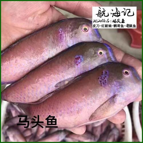 汕头人叫过鱼是什么鱼