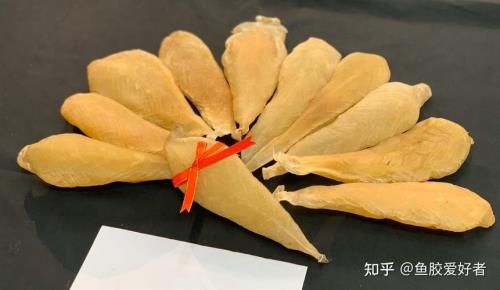 为什么鱼胶干蒸会卷成团