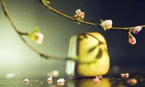一生颇具荣华是什么意思