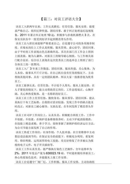 专家人才评语