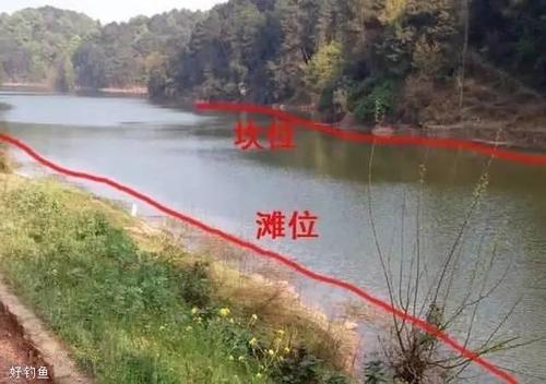龙凤溪钓鱼最佳位置