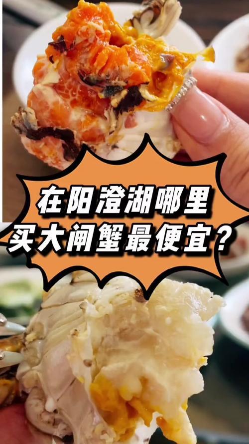 阳澄湖哪里买最便宜