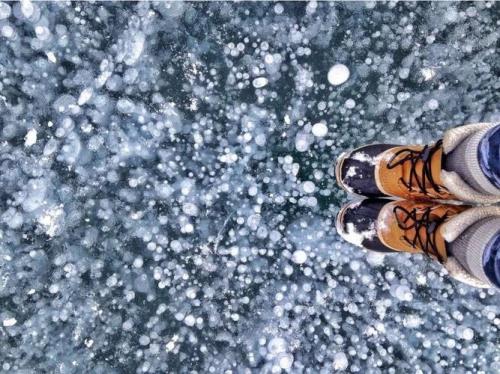 快让我在雪地上撒点野歌词理解