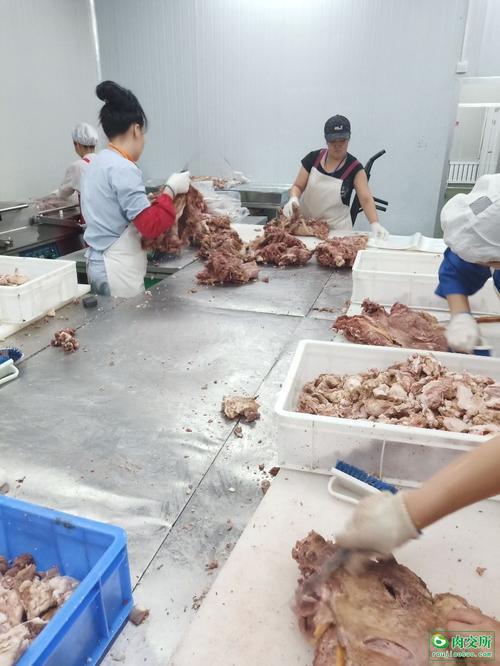 临沂哪里卖羊肉好