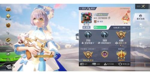 和平精英最后一个段位