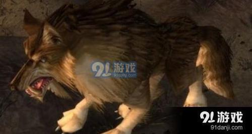魔兽世界外域等级最高的狼