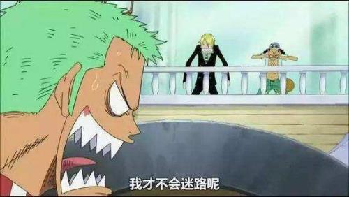人为什么会迷路呀