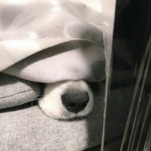 赫然一笑还是赧然一笑