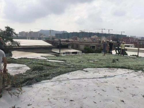 卫星确权了还算违建吗