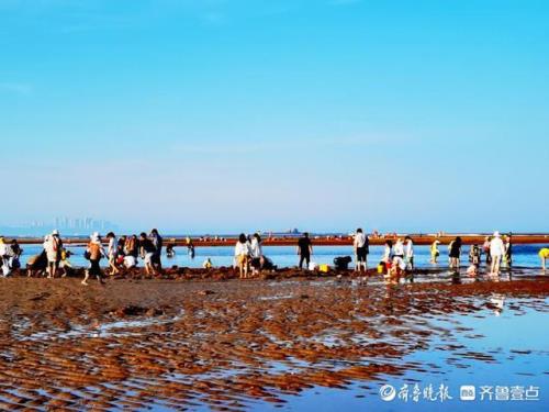 广东哪里的海边可以赶海