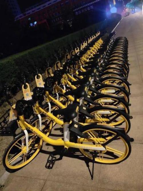 小黄车口碑怎么来