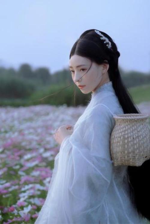 奈何惊鸿入我心什么意思