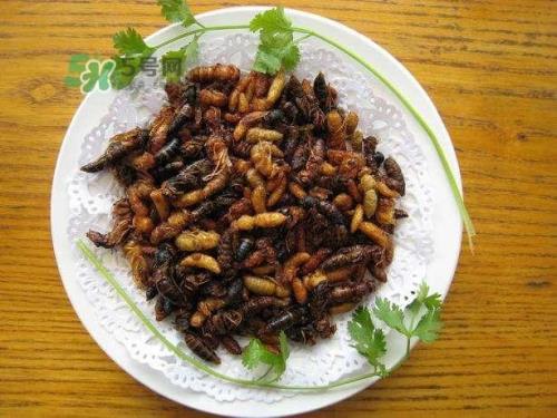 马蜂蛹怎样食用